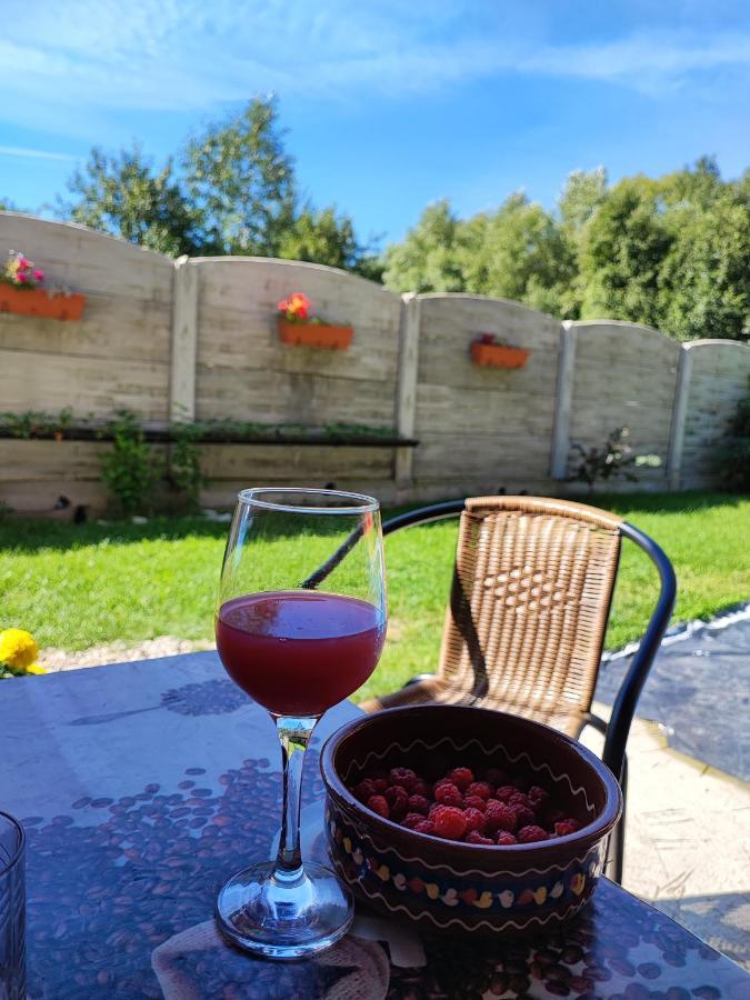 Casa De Vacanta Estera Rucar Hotel Екстериор снимка