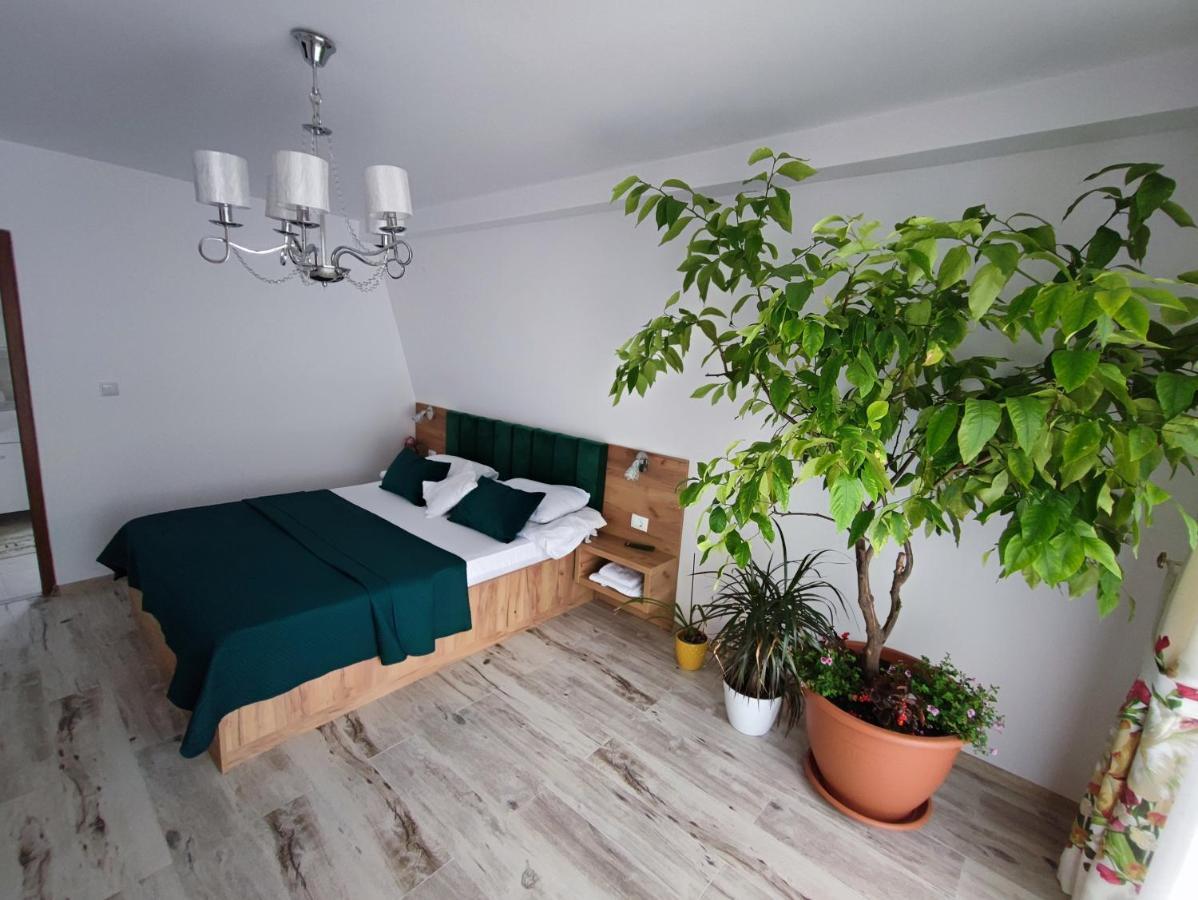 Casa De Vacanta Estera Rucar Hotel Екстериор снимка