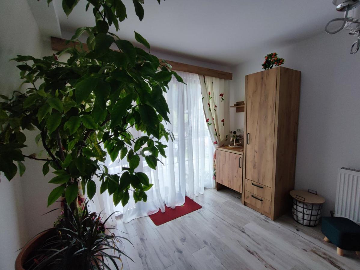 Casa De Vacanta Estera Rucar Hotel Екстериор снимка