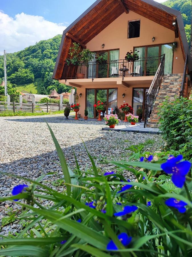 Casa De Vacanta Estera Rucar Hotel Екстериор снимка